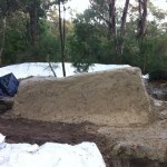 mlv trails 2